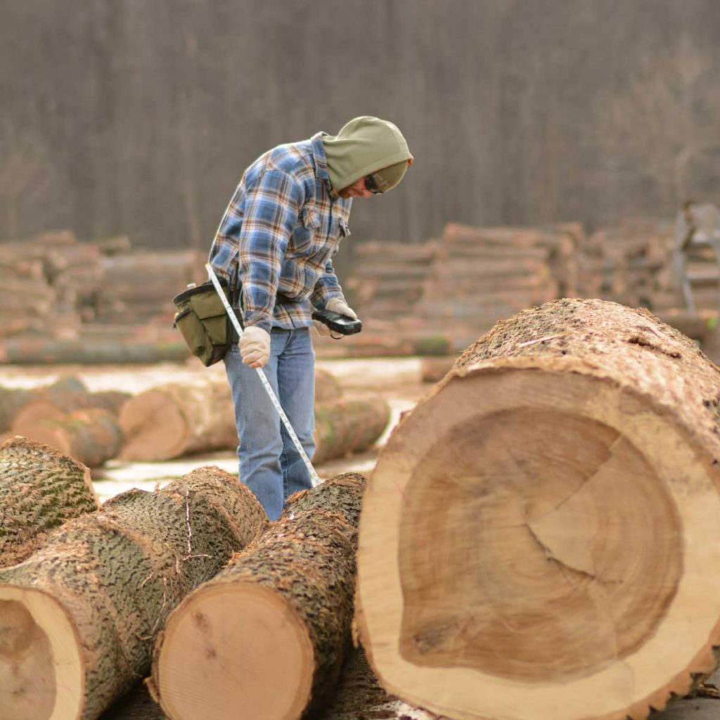High Grade Hardwood Logs